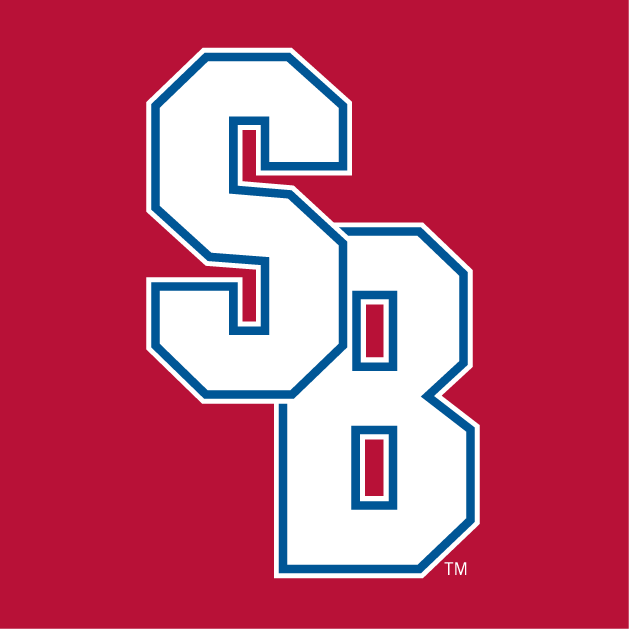 Stony Brook Seawolves 2008-Pres Alternate Logo v3 diy DTF decal sticker